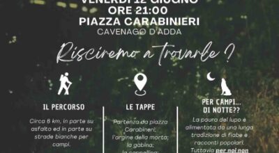Alla ricerca delle lucciole