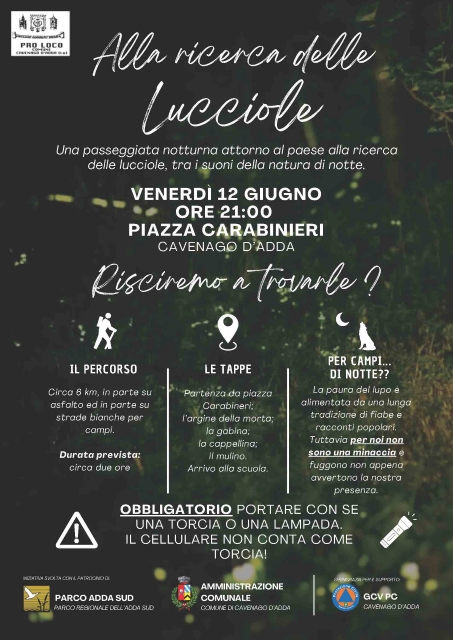 Alla ricerca delle lucciole