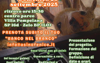 Gli asini diventano insegnanti di BenEssere