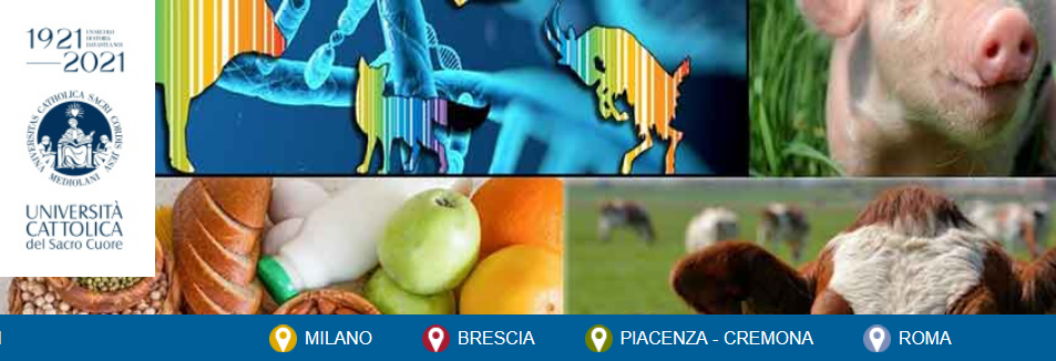 EcoStost Farm – La zootecnia alleata degli allevatori e dell’ambiente