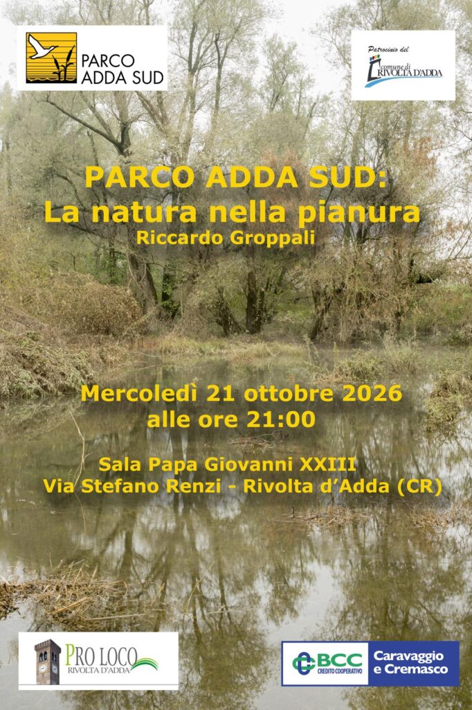 Parco Adda Sud: la natura della pianura