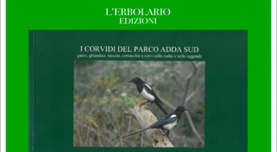 Presentazione del libro “I Corvidi del Parco Adda Sud”