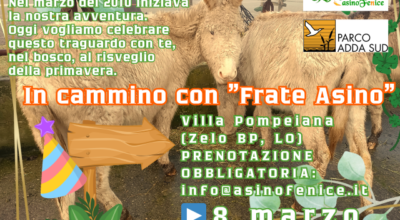 Giornata nel bosco con l’associazione AsinoFenice