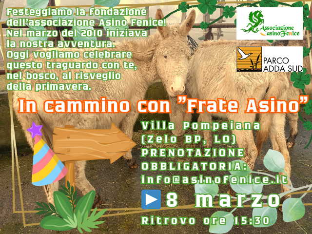 Giornata nel bosco con l’associazione AsinoFenice