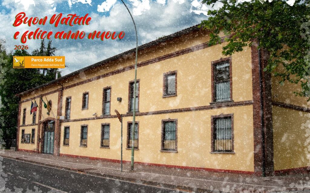 Auguri di Buone Feste