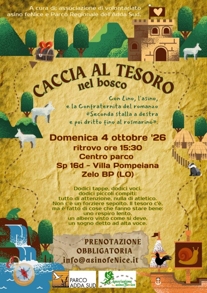 Caccia al tesoro nel bosco