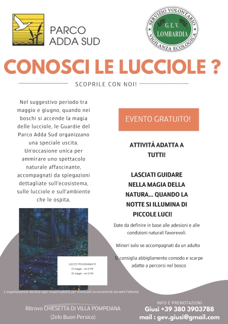 Conoscere le lucciole