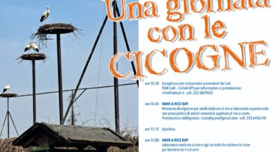 Una giornata con le cicogne