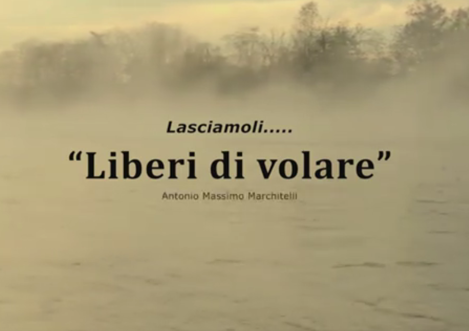 Liberi di volare