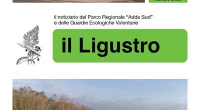 Il Ligustro 2025