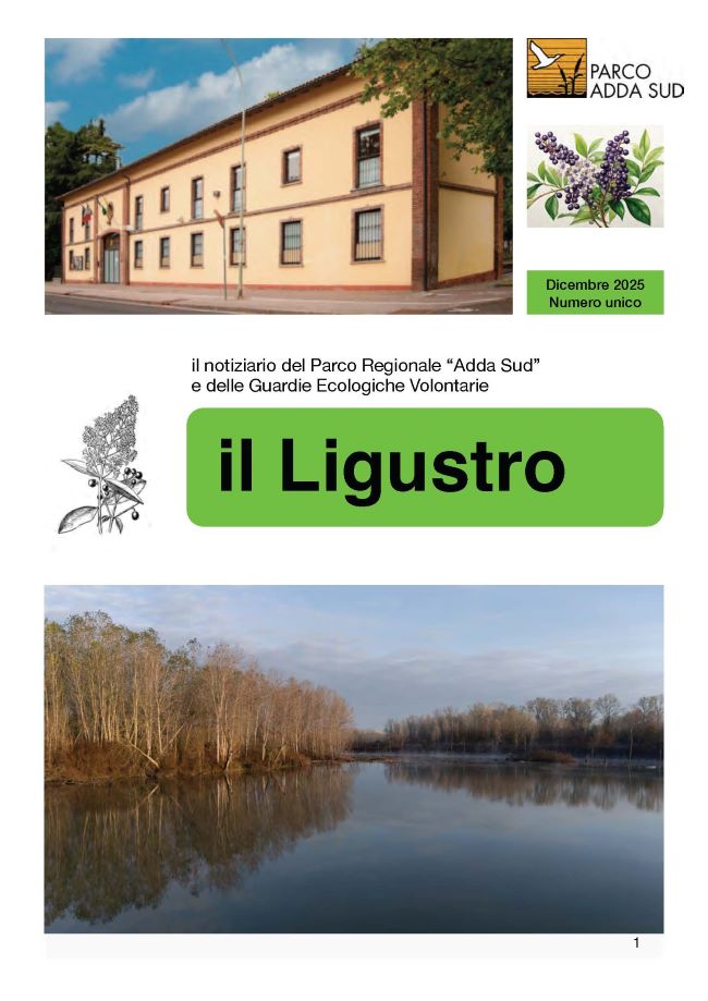 Il Ligustro 2025