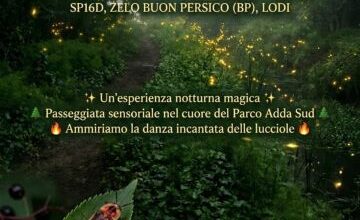Nel bosco con le lucciole