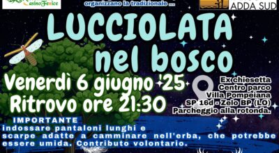 Lucciolata nel bosco